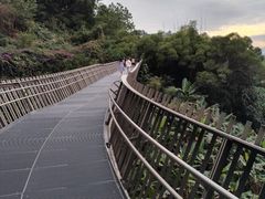 -福道