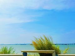 -芒洲湿地公园