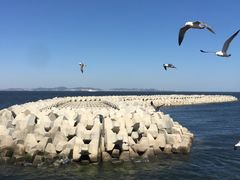 -海味当家·蒸锅海鲜(中山广场创始店)