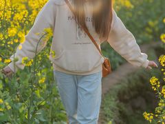 -桑洲油菜花景区
