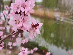 -大兴滨河森林公园