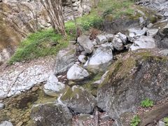 -牛背梁国家森林公园