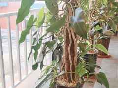 -赤峰宴宾楼(满洲里路店)