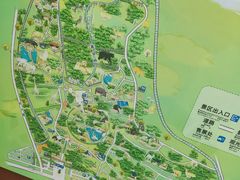 -合肥野生动物园