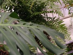 -杭州平安悦坊 PAFC LIVING