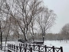 -望湖公园
