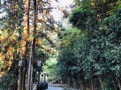 -安溪清水岩