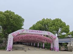 -南汇桃花村