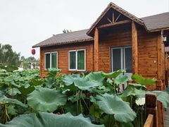 -白洋淀景区