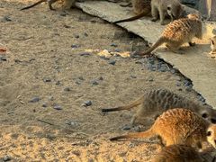 -茅山东方盐湖城景区
