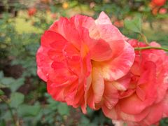 -共青国家森林公园-南大门停车场