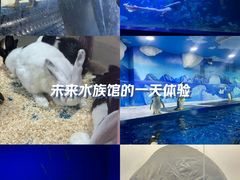 -重庆欢乐海底世界