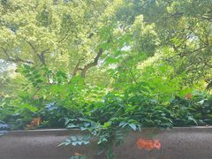 -吴山景区