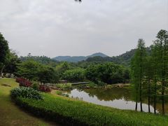 -国恩寺