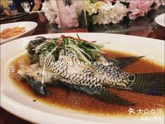 豉汁蒸苏眉-都市阳光海鲜城(青山湖店)