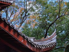 -溪口-滕头旅游景区