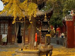 -长春观