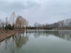 -东郊湿地公园