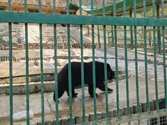 -栾川竹海野生动物园