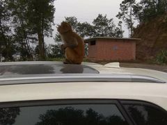 -重庆雨台山风景区