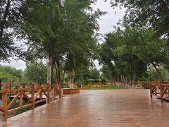-乌素图国家森林公园
