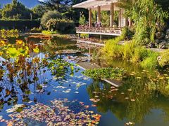 -国家植物园南园