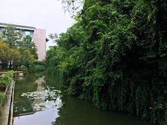 -绍兴鉴湖君澜大酒店