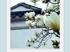-耦园