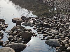 -皇粮浜湿地公园