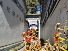 -寂照庵