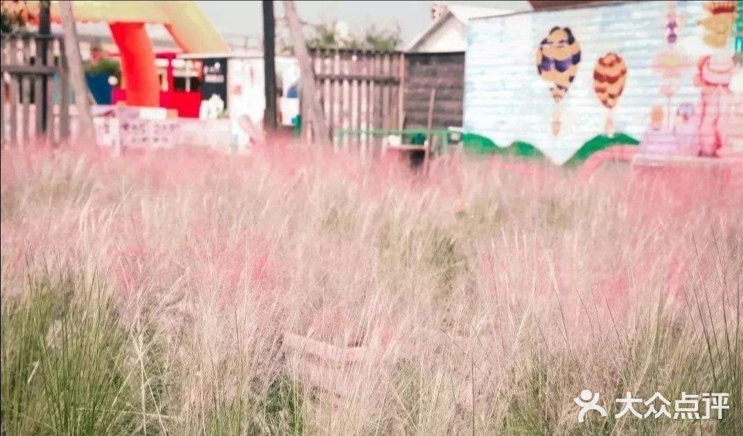 这个地方[加油]有点甜[糖果][糖果]