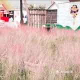 这个地方[加油]有点甜[糖果][糖果]