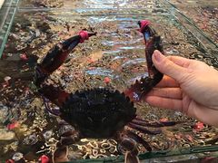 -海天市场(淮河路店)