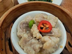 -富豪酒家(正大广场店)