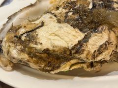 -福来齐·鲁菜海鲜·渔家菜(朝阳街分店)