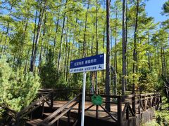 -莫尔道嘎国家森林公园