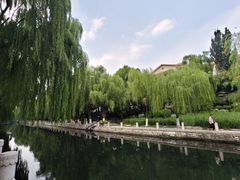 -环城公园
