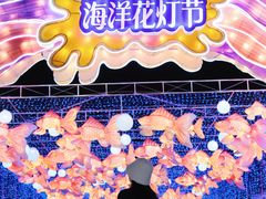 -海合安成都极地海洋公园