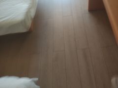 -如家酒店(北京国展三元桥店)