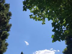 -好利来(团结湖店)