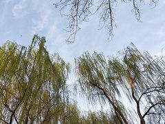 -西安市长乐公园