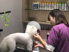 -宠颐生动物医院·小陆分院