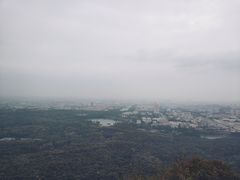 -紫金山天文台
