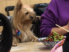 -江城燕子大排档(江汉路步行街店)