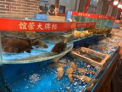 水产区-谊荣海鲜大牌档(石湖店)