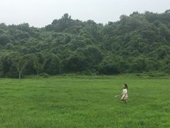 -羊山湖公园