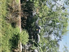 -海南热带野生动植物园