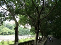 -西南政法大学(沙坪坝校区)