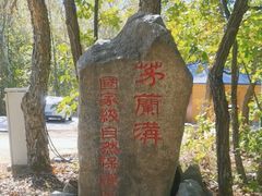 -茅兰沟国家森林公园