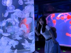 -芜湖新华联大白鲸海洋公园